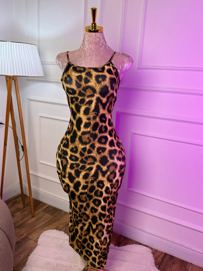 • 🐆 سحر التايقر | Leopard Charm ✨