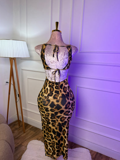 • 🐆 سحر التايقر | Leopard Charm ✨