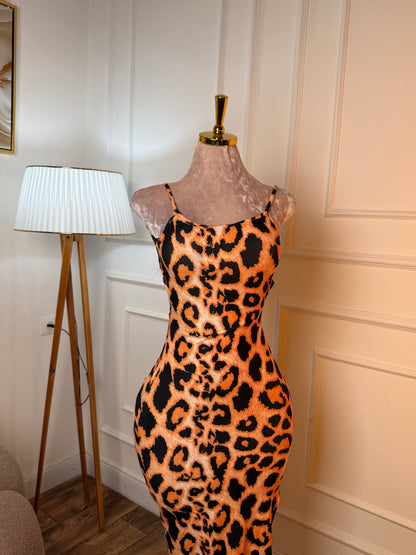 • 🐆 سحر التايقر | Leopard Charm ✨